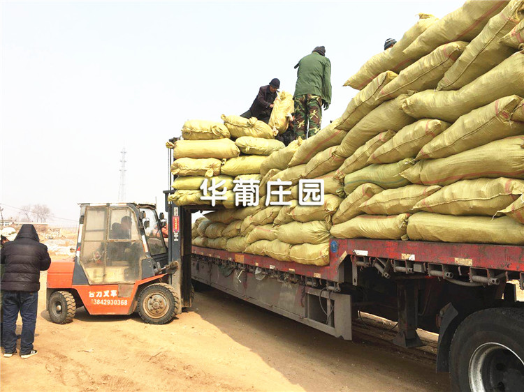 XCLP2-25T/30T平面液壓裁斷機 XCLP2-25T/30T平面液壓裁斷機